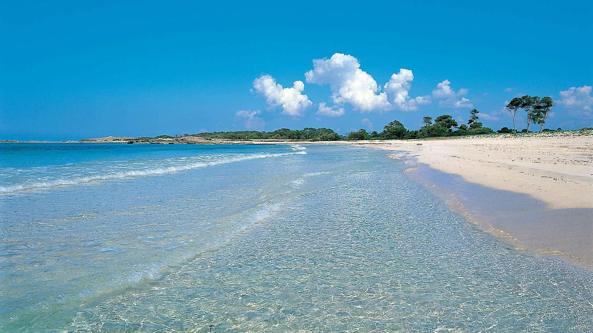 Aparthotel Isla De Cabrera Colonia de Sant Jordi Espagne